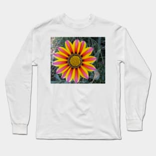 Gazania 4 Long Sleeve T-Shirt